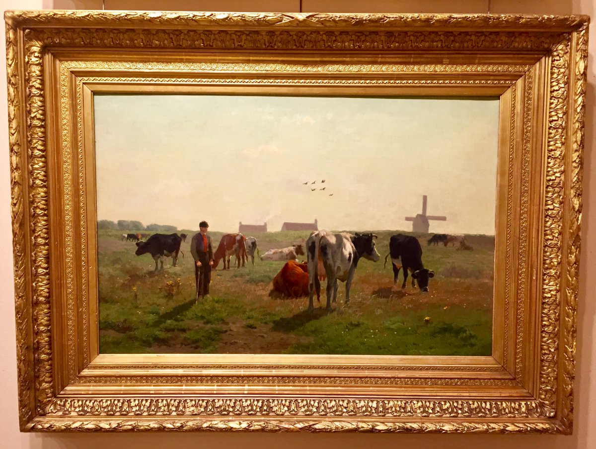 Herd Of Cows By Van Damme Sylva