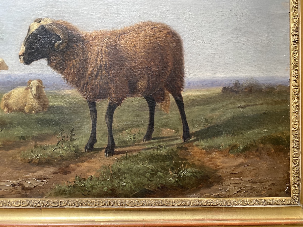 Paul Gelibert  (1802-1882) “the Ram” Oil On Canvas -photo-5
