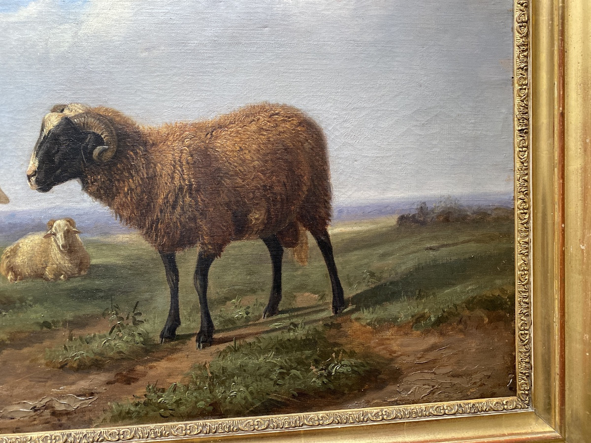 Paul Gelibert  (1802-1882) “the Ram” Oil On Canvas -photo-1