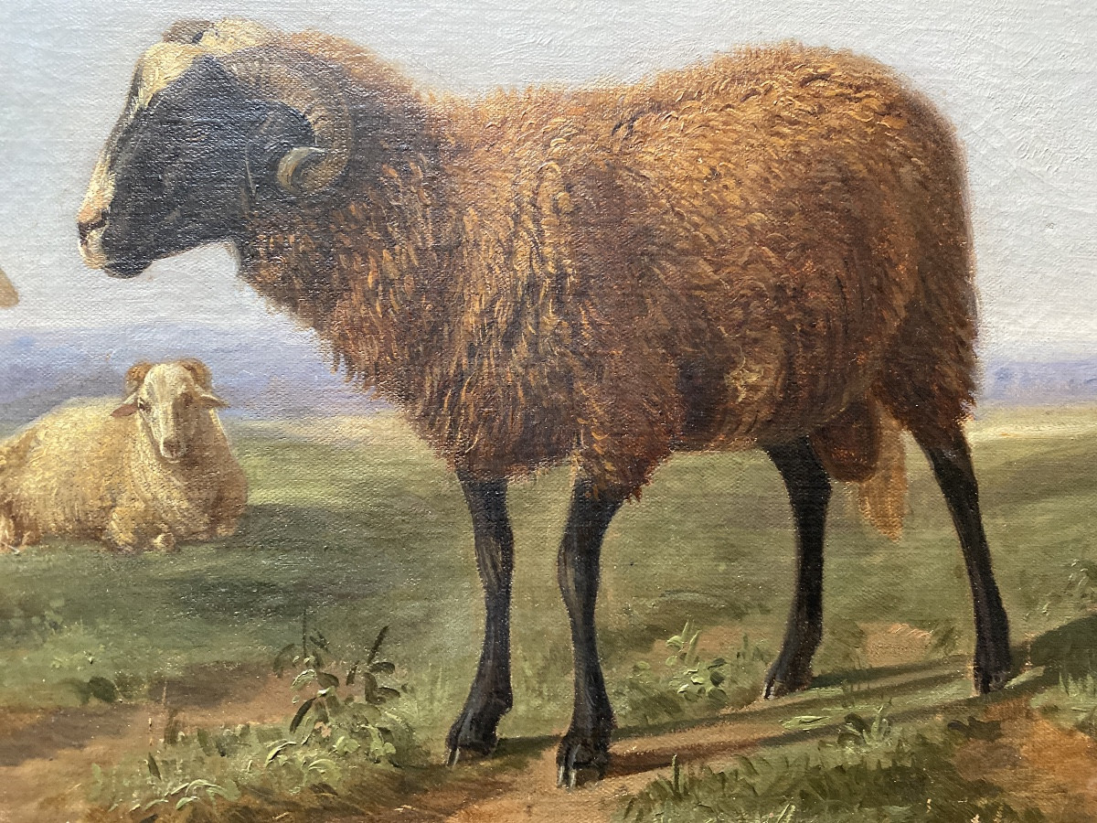 Paul Gelibert  (1802-1882) “the Ram” Oil On Canvas -photo-2