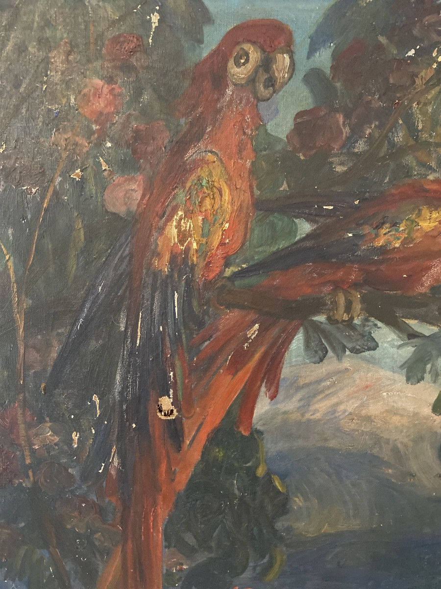 Georges Bergès (1870-1934) — “parrots And Cockatoos In The Orange Trees” Large Art Deco Oil Painting -photo-3
