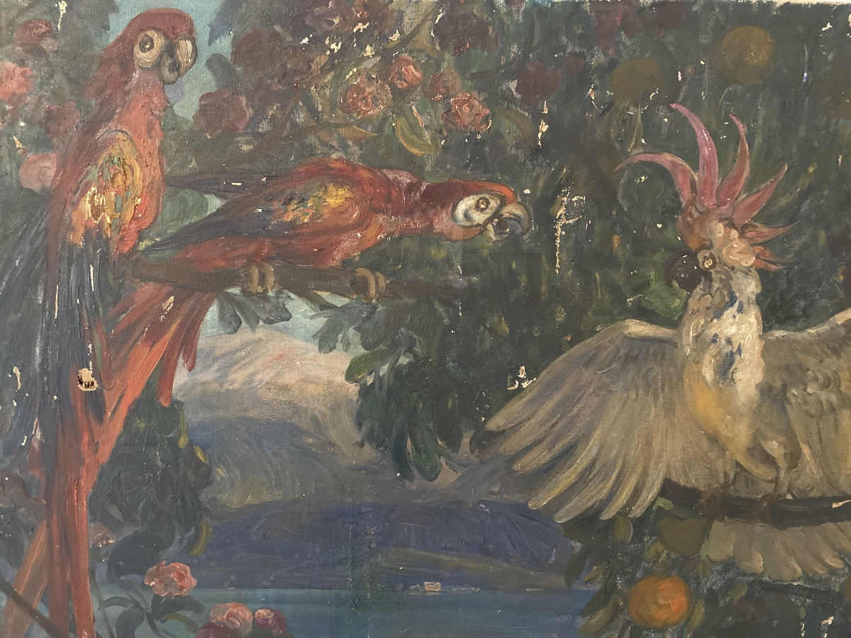 Georges Bergès (1870-1934) — “parrots And Cockatoos In The Orange Trees” Large Art Deco Oil Painting -photo-4