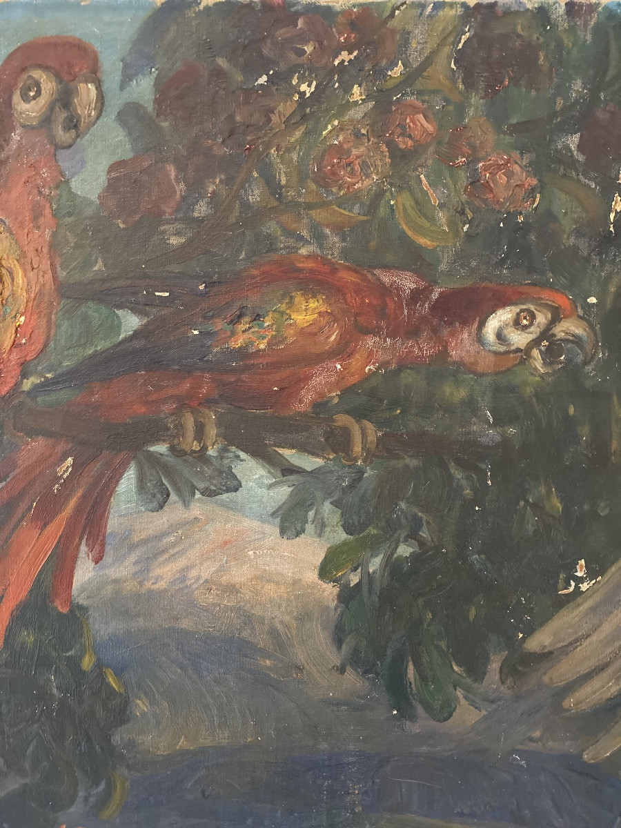 Georges Bergès (1870-1934) — “parrots And Cockatoos In The Orange Trees” Large Art Deco Oil Painting -photo-2