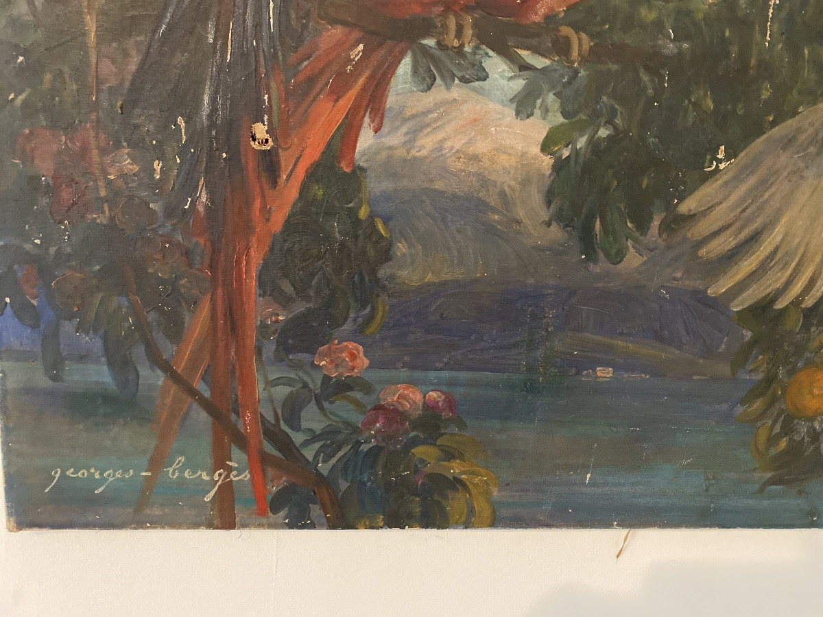Georges Bergès (1870-1934) — “parrots And Cockatoos In The Orange Trees” Large Art Deco Oil Painting -photo-7