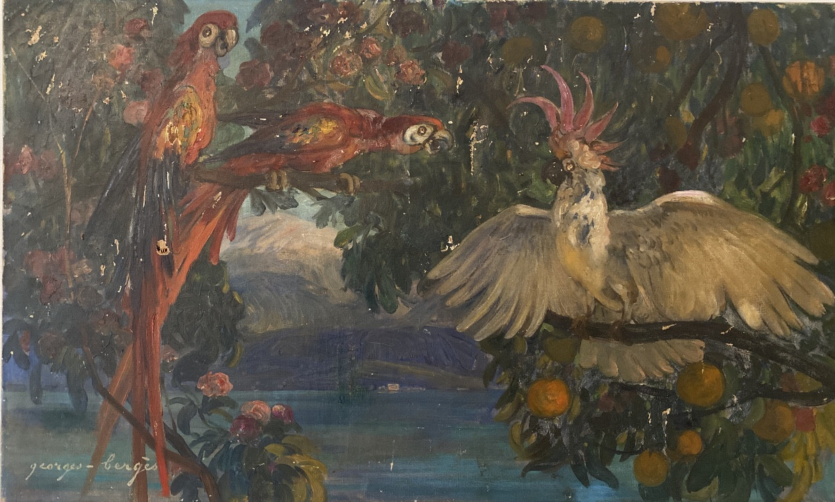 Georges Bergès (1870-1934) — “parrots And Cockatoos In The Orange Trees” Large Art Deco Oil Painting 