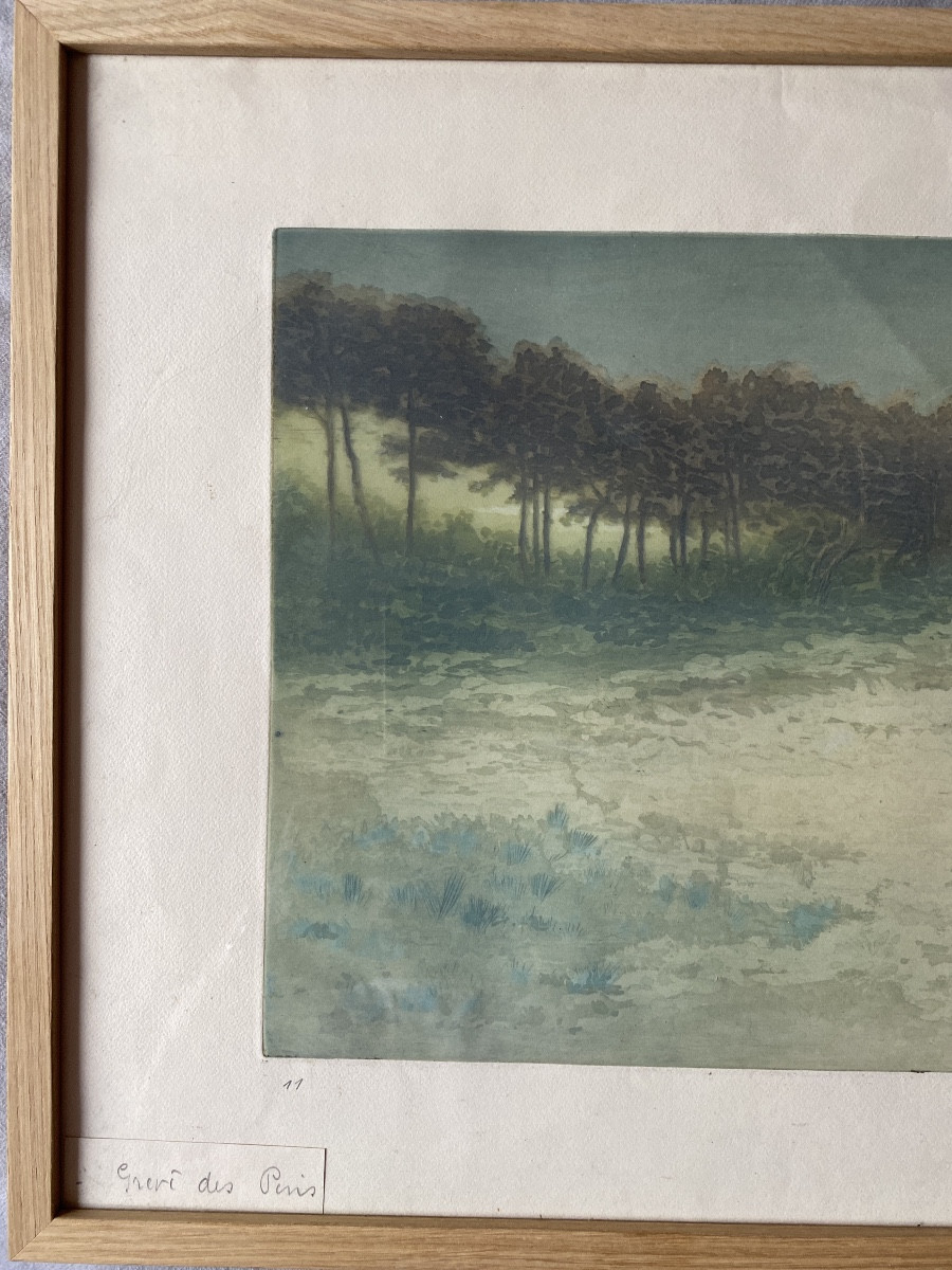 Pierre Labrouche (1876-1956) « Gravé des Pins » Gravure originale en couleurs sur papier vélin-photo-2