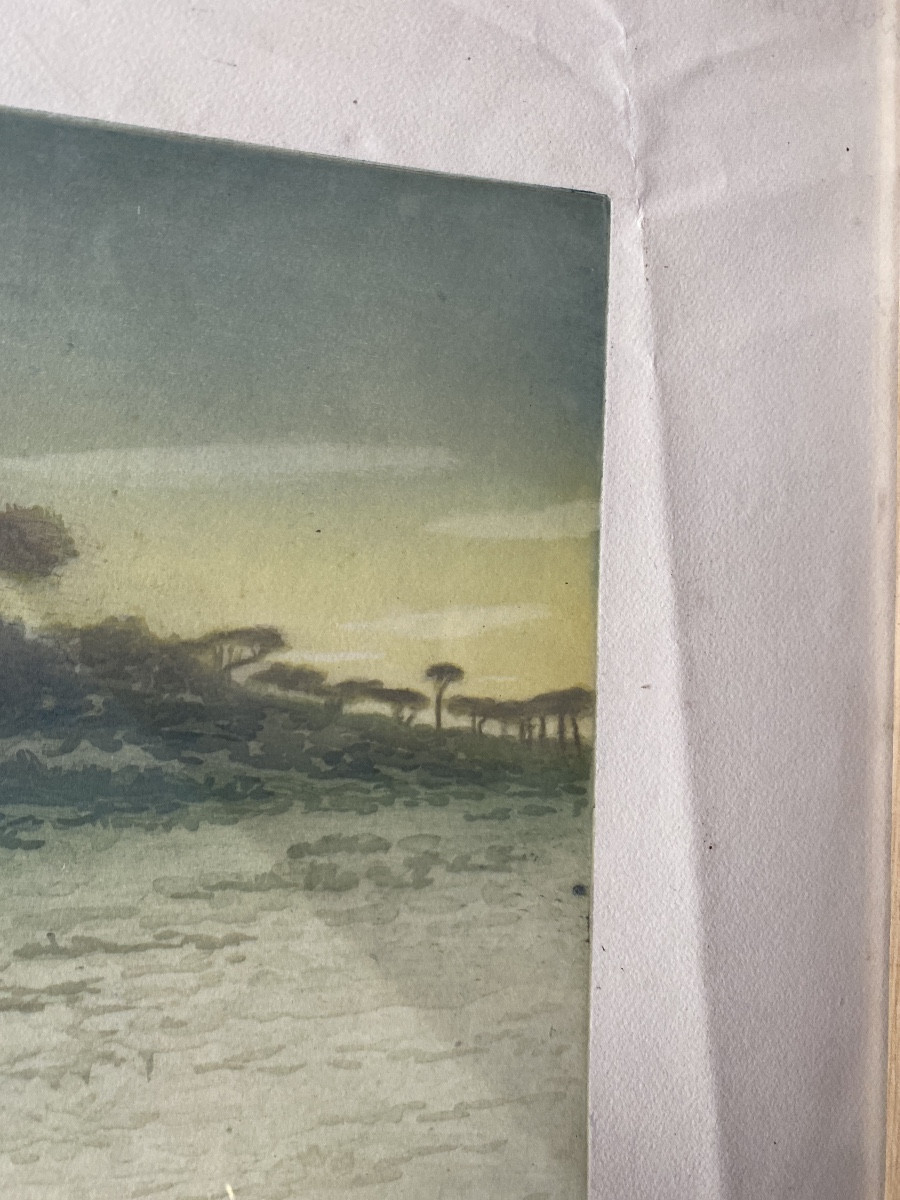 Pierre Labrouche (1876-1956) « Gravé des Pins » Gravure originale en couleurs sur papier vélin-photo-1