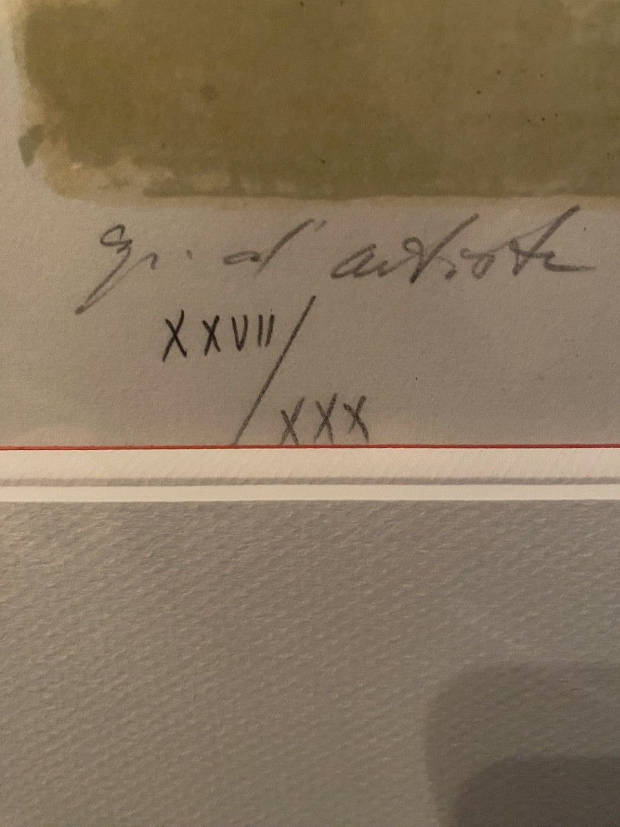 Jansen – Original Lithograph – “venice Lagoon” – Artist's Proof – XXVII/xxx – 77 X 62 -photo-1