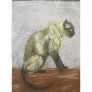 Thomas François Cartier (1879-1936) – Rare Chat Siamois, Technique Mixte Sur Carton, 1933, Dédi