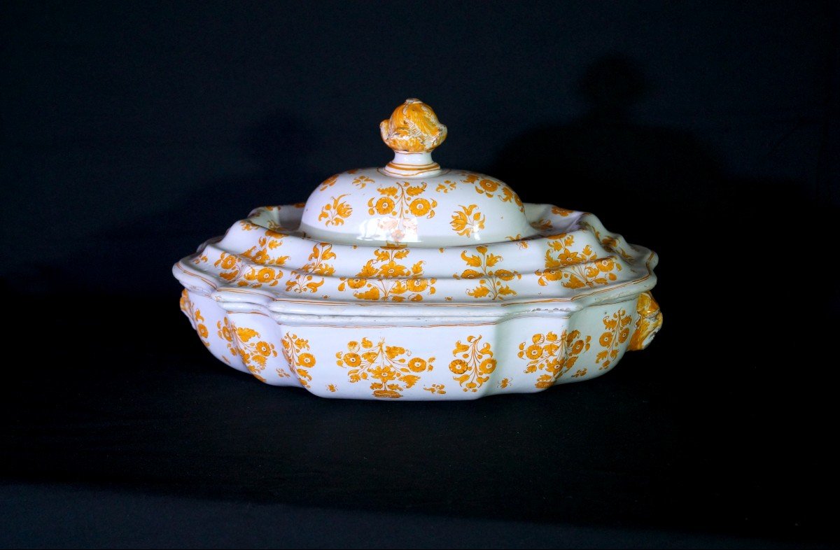 18th Century Moustiers Earthenware Vegetable Dish/soup Tureen-photo-4
