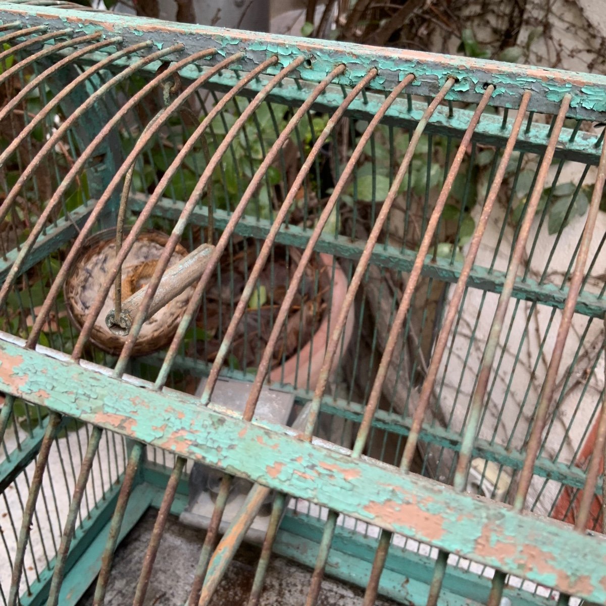 Large Winter Garden Cage 19th-photo-4