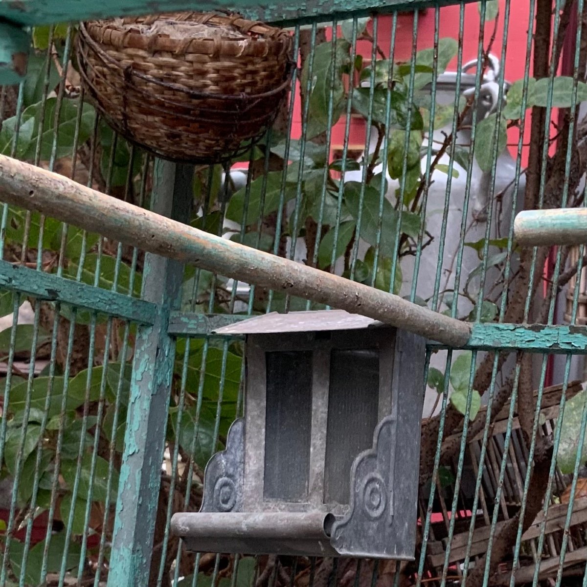 Large Winter Garden Cage 19th-photo-3