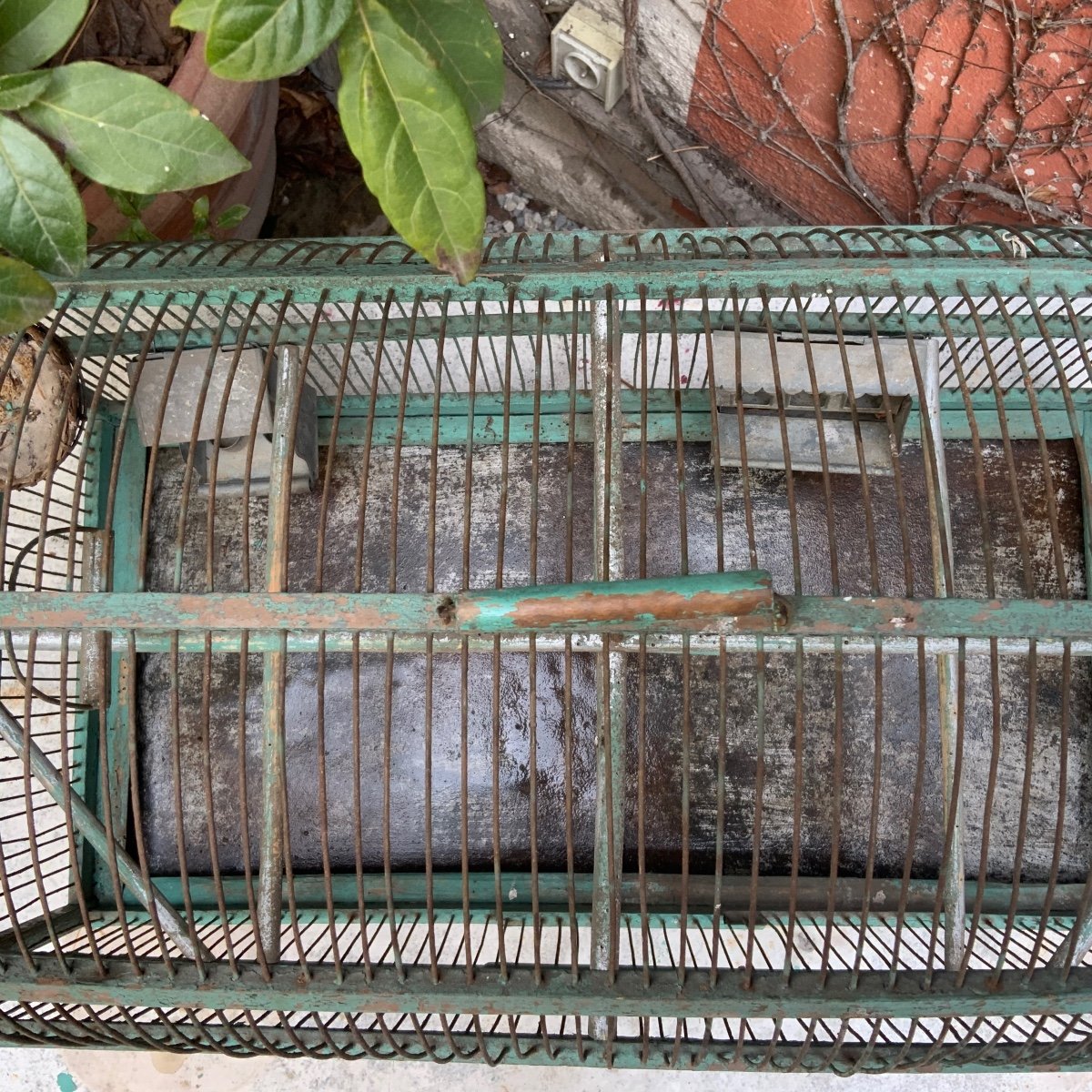 Large Winter Garden Cage 19th-photo-8