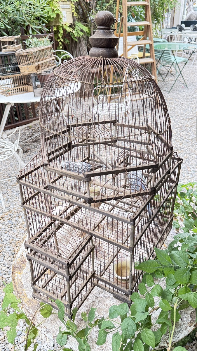 Cage à oiseaux en fer et bois, XIXᵉ siècle -photo-2