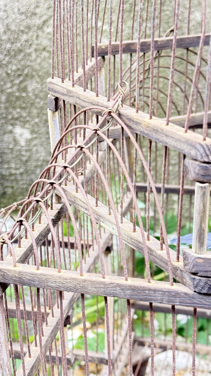 Cage à oiseaux en fer et bois, XIXᵉ siècle -photo-3