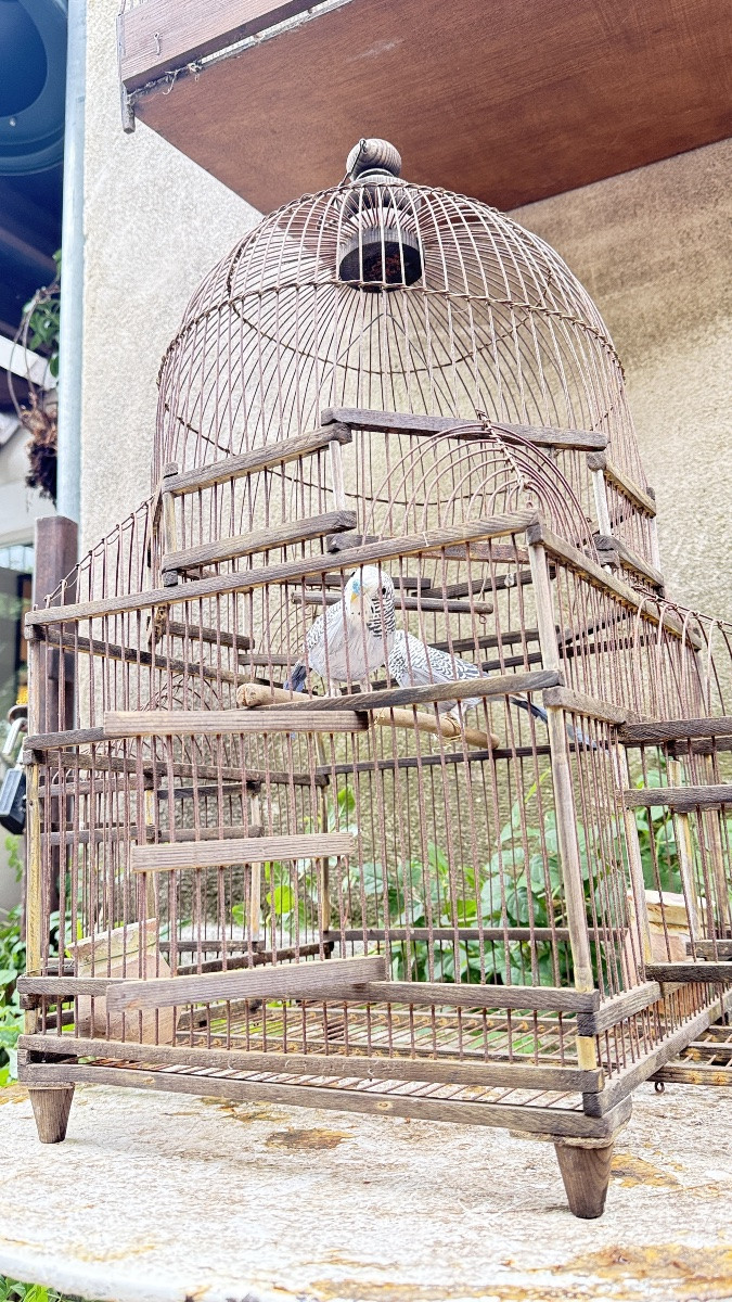 Cage à oiseaux en fer et bois, XIXᵉ siècle -photo-1