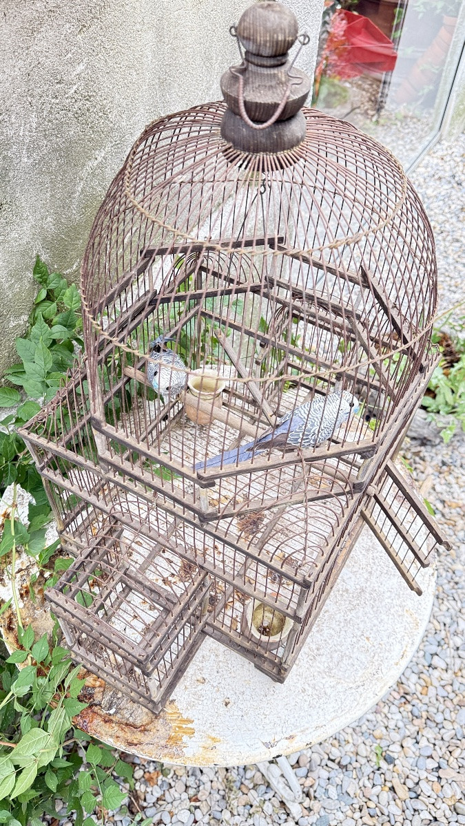 Cage à oiseaux en fer et bois, XIXᵉ siècle -photo-2