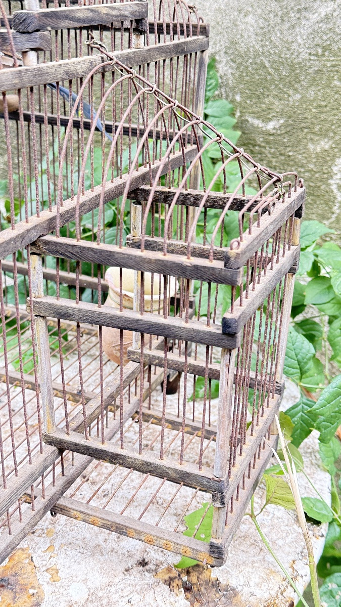 Cage à oiseaux en fer et bois, XIXᵉ siècle -photo-4