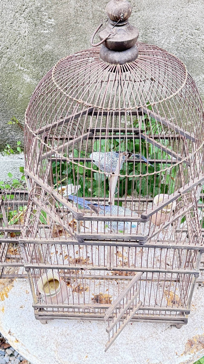 Cage à oiseaux en fer et bois, XIXᵉ siècle -photo-6