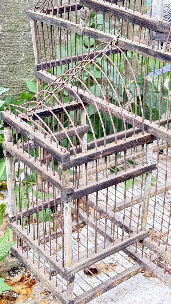 Cage à oiseaux en fer et bois, XIXᵉ siècle -photo-8