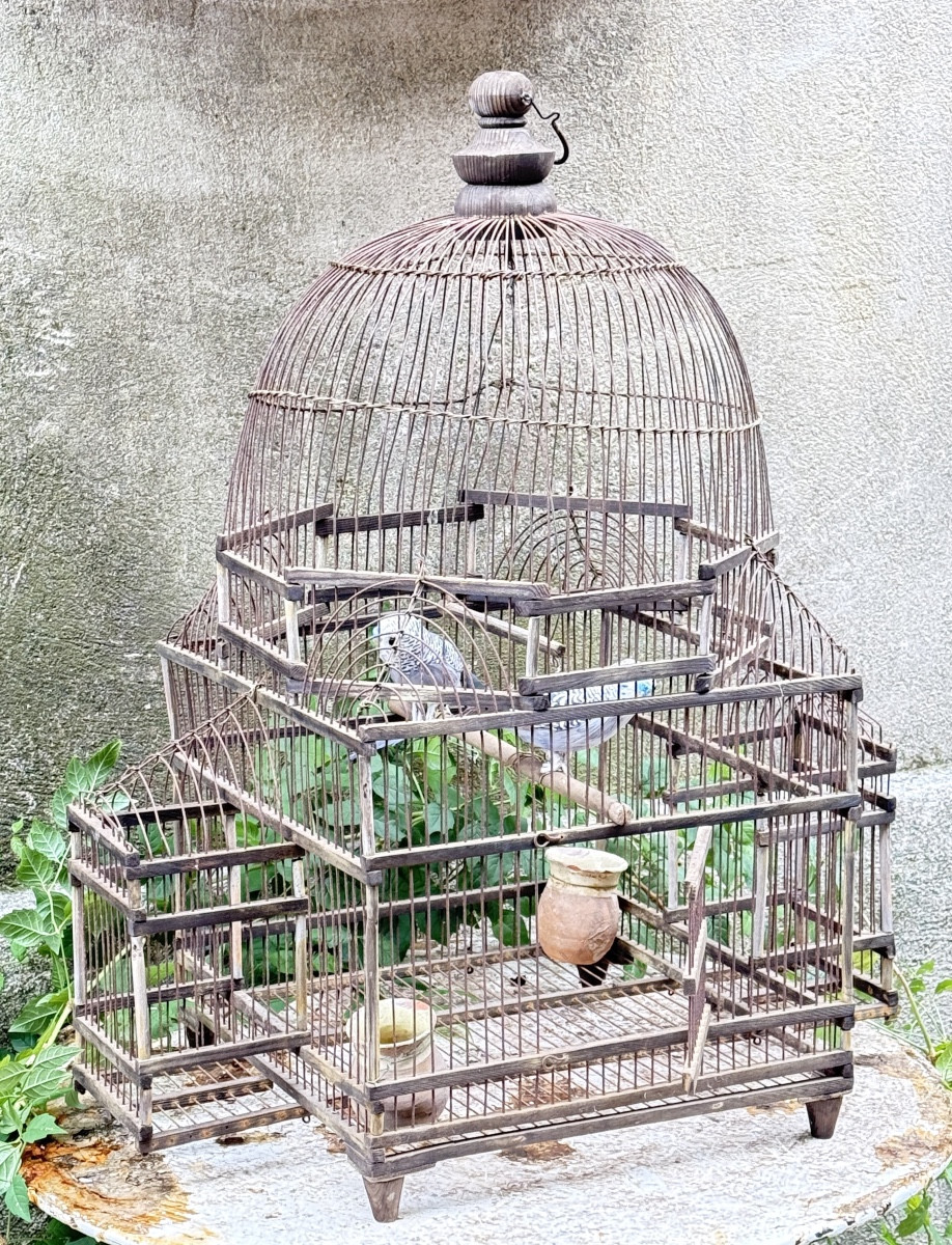 Cage à oiseaux en fer et bois, XIXᵉ siècle 
