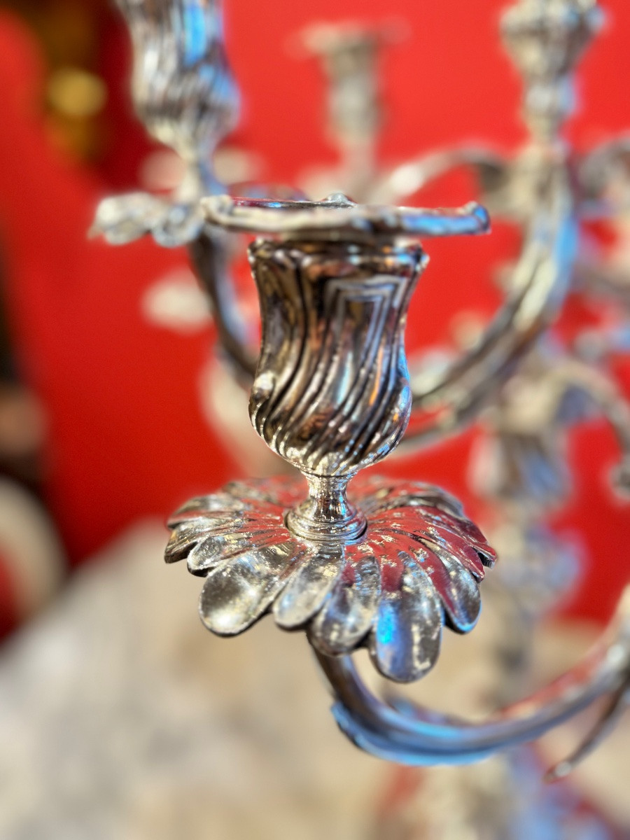 Paire de candélabres en bronze argenté – XIXᵉ siècle-photo-4