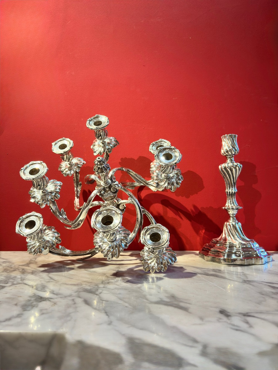 Paire de candélabres en bronze argenté – XIXᵉ siècle-photo-7