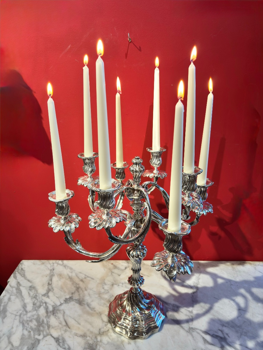 Paire de candélabres en bronze argenté – XIXᵉ siècle-photo-8