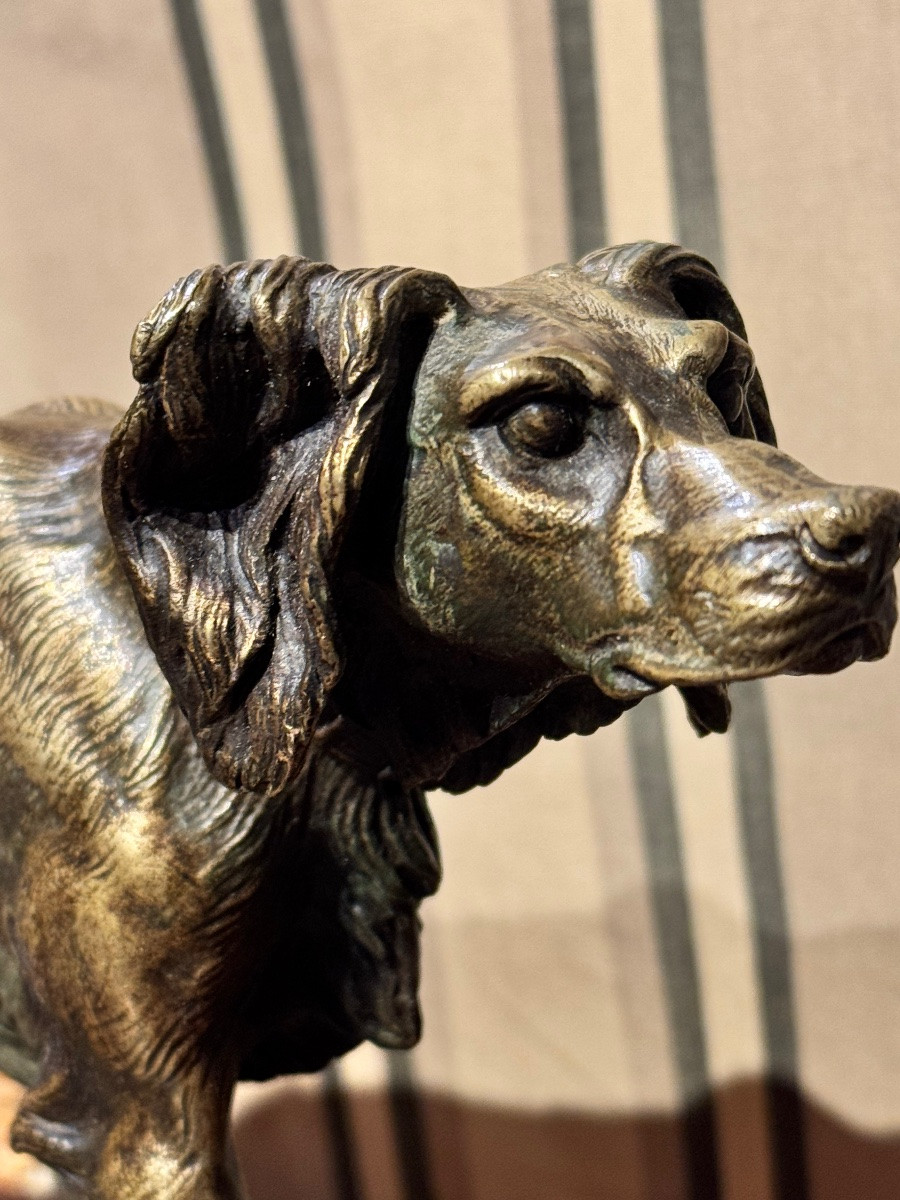 Bronze : Chien d’Arrêt – Signé J. Moigniez-photo-3