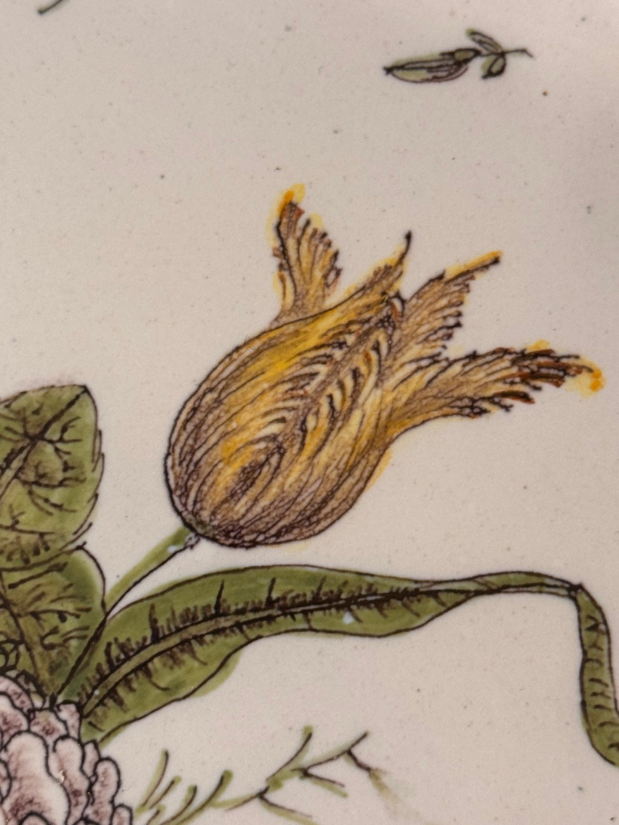 Oval Earthenware Dish From Montpellier With Floral And Insect Decoration, 18th Century-photo-3