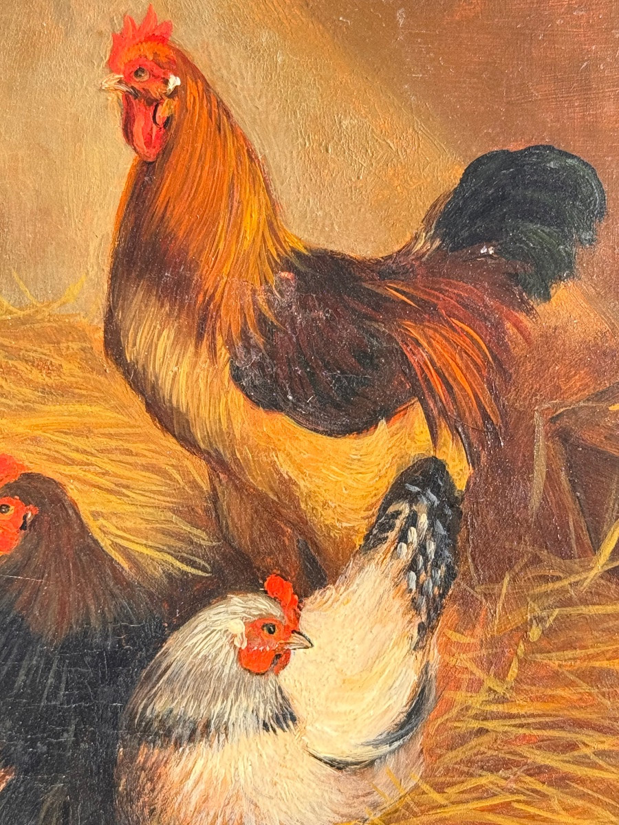 Farmyard Scene – Hens And Rooster – Oil On Panel, Late 19th Century-photo-2
