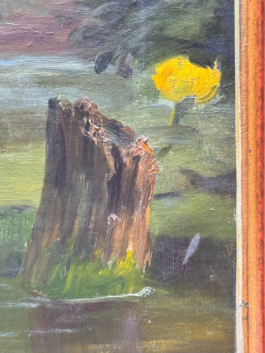 Oil On Canvas - Roses Over A Water Lily Pond - Signed F. Lindley - XIXs-photo-4