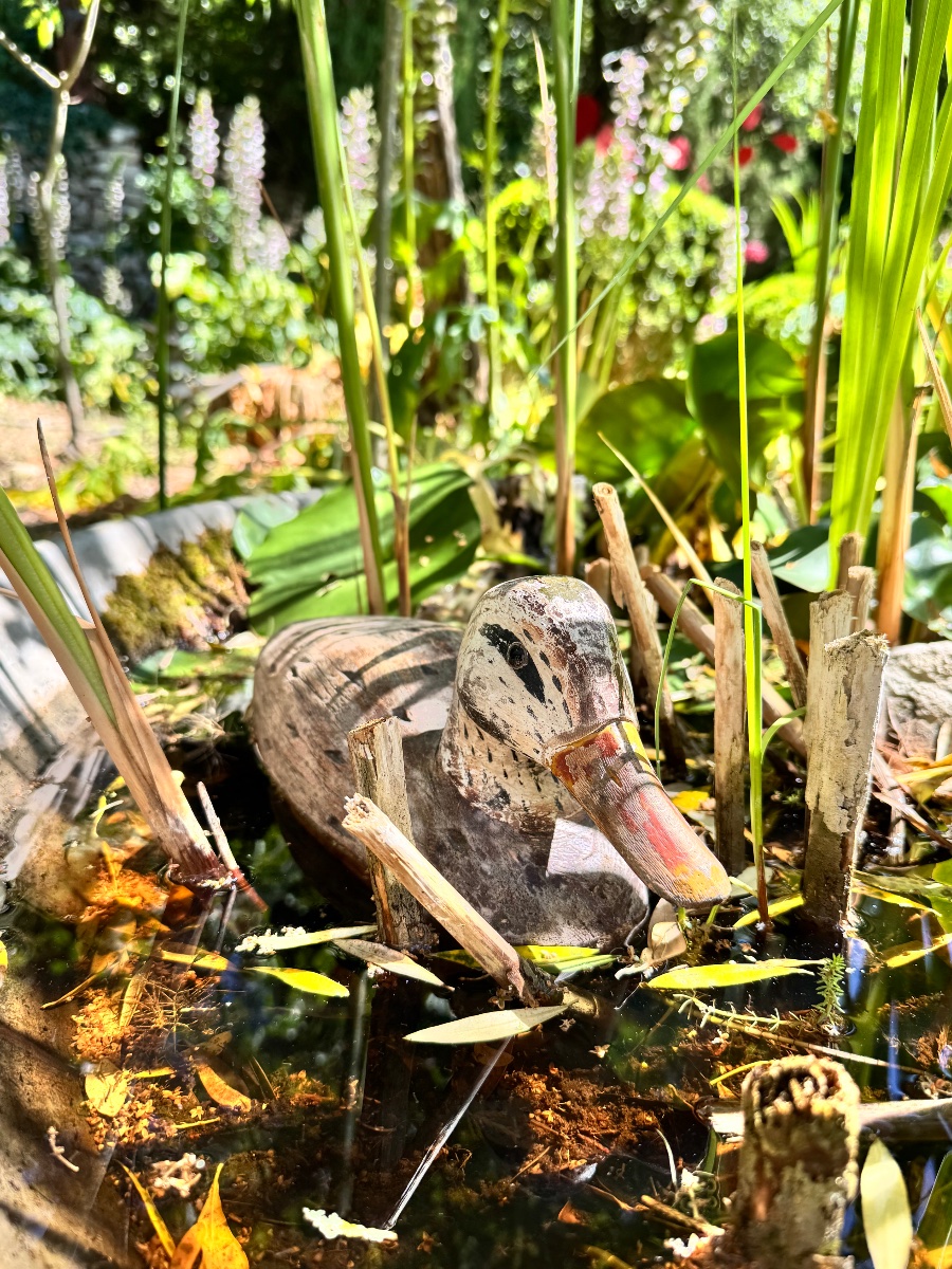 Appelant de chasse en bois sculpté – Fin XIXe siècle-photo-8