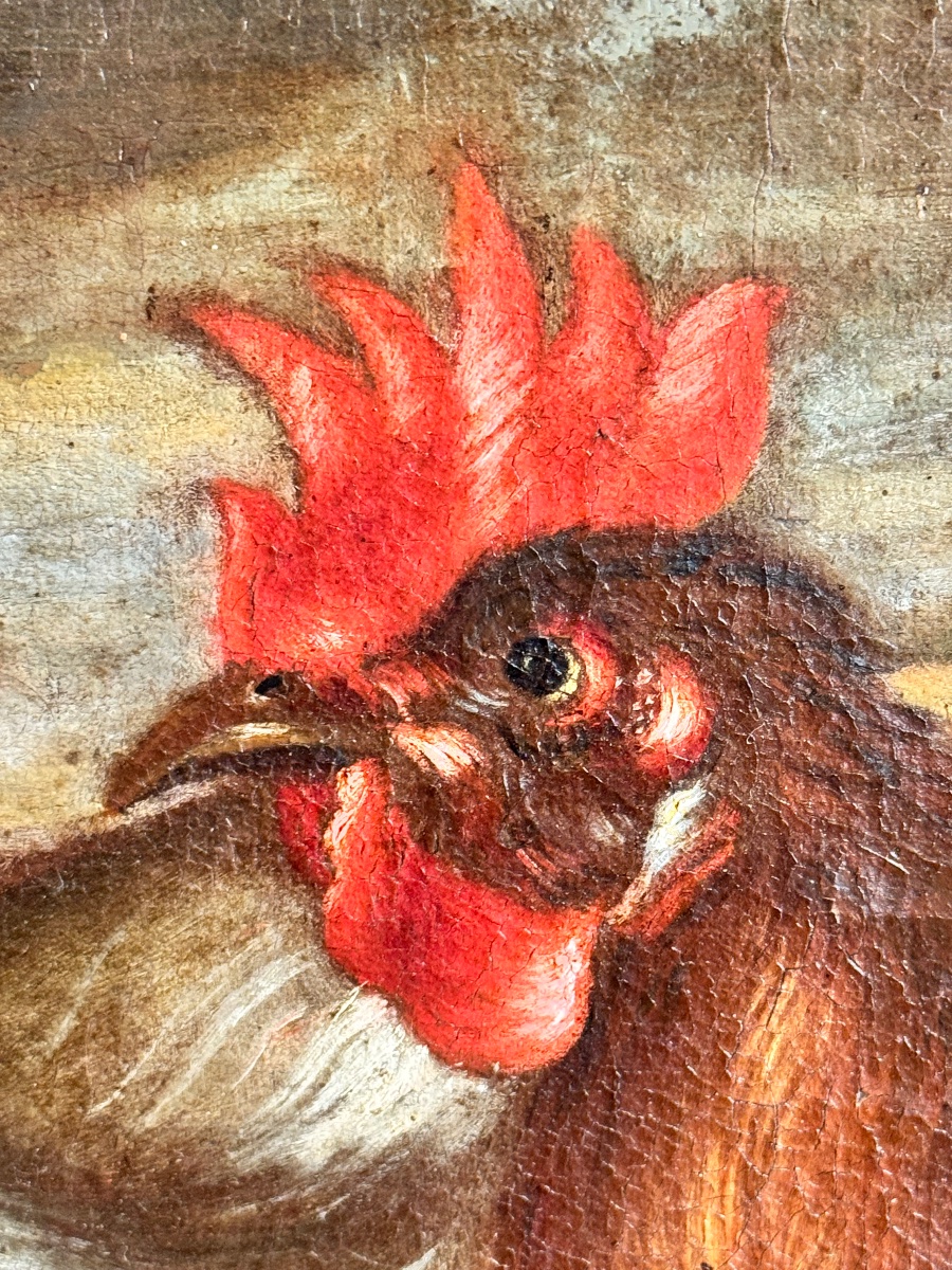 Animal Scene Featuring Poultry And Guinea Pigs Attributed To Franz Werner Von Tamm (1658–1724) -photo-2
