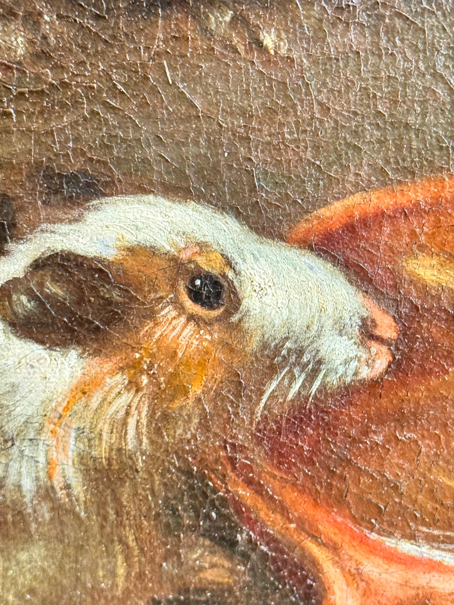 Animal Scene Featuring Poultry And Guinea Pigs Attributed To Franz Werner Von Tamm (1658–1724) -photo-3