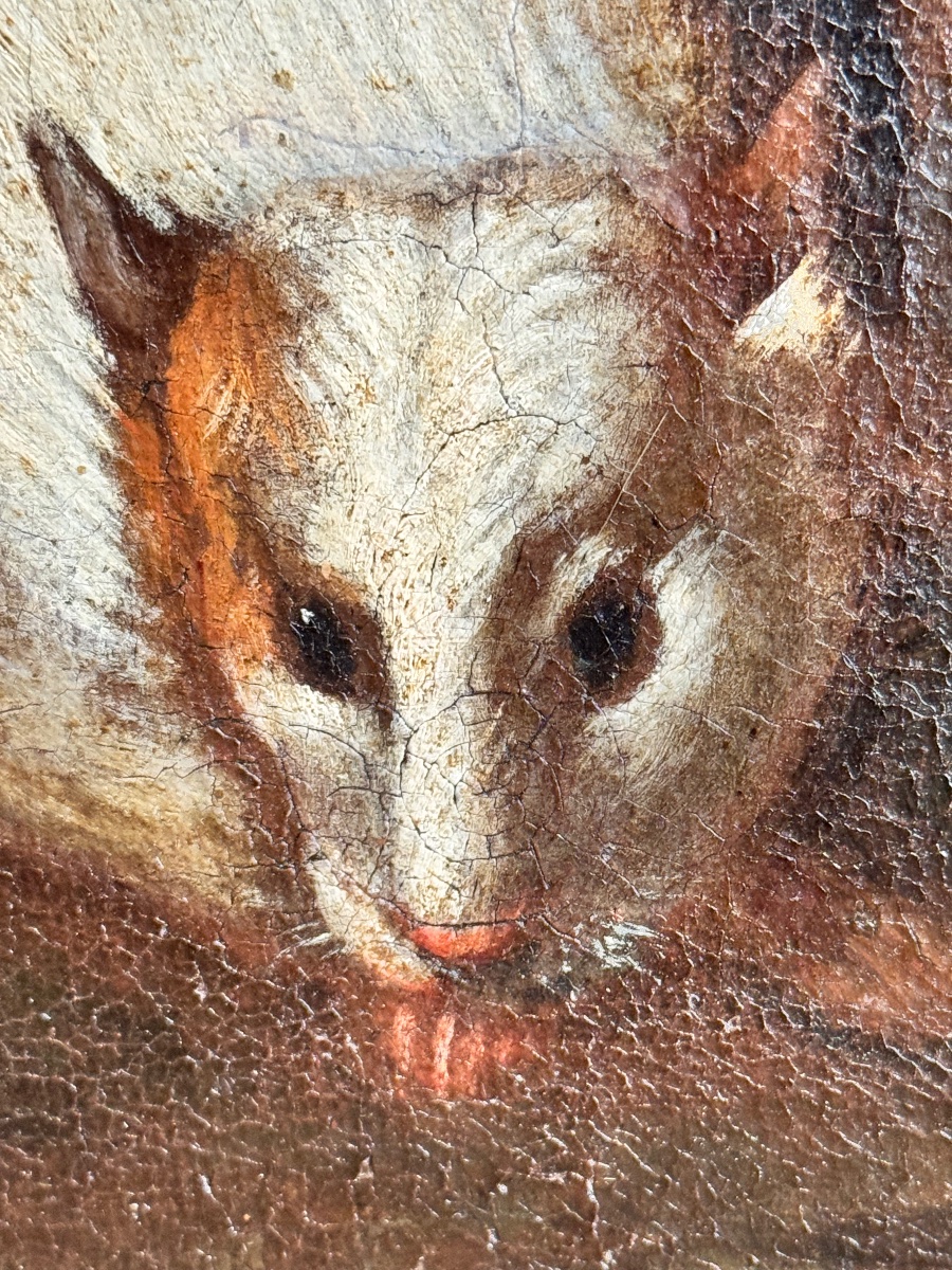 Animal Scene Featuring Poultry And Guinea Pigs Attributed To Franz Werner Von Tamm (1658–1724) -photo-4