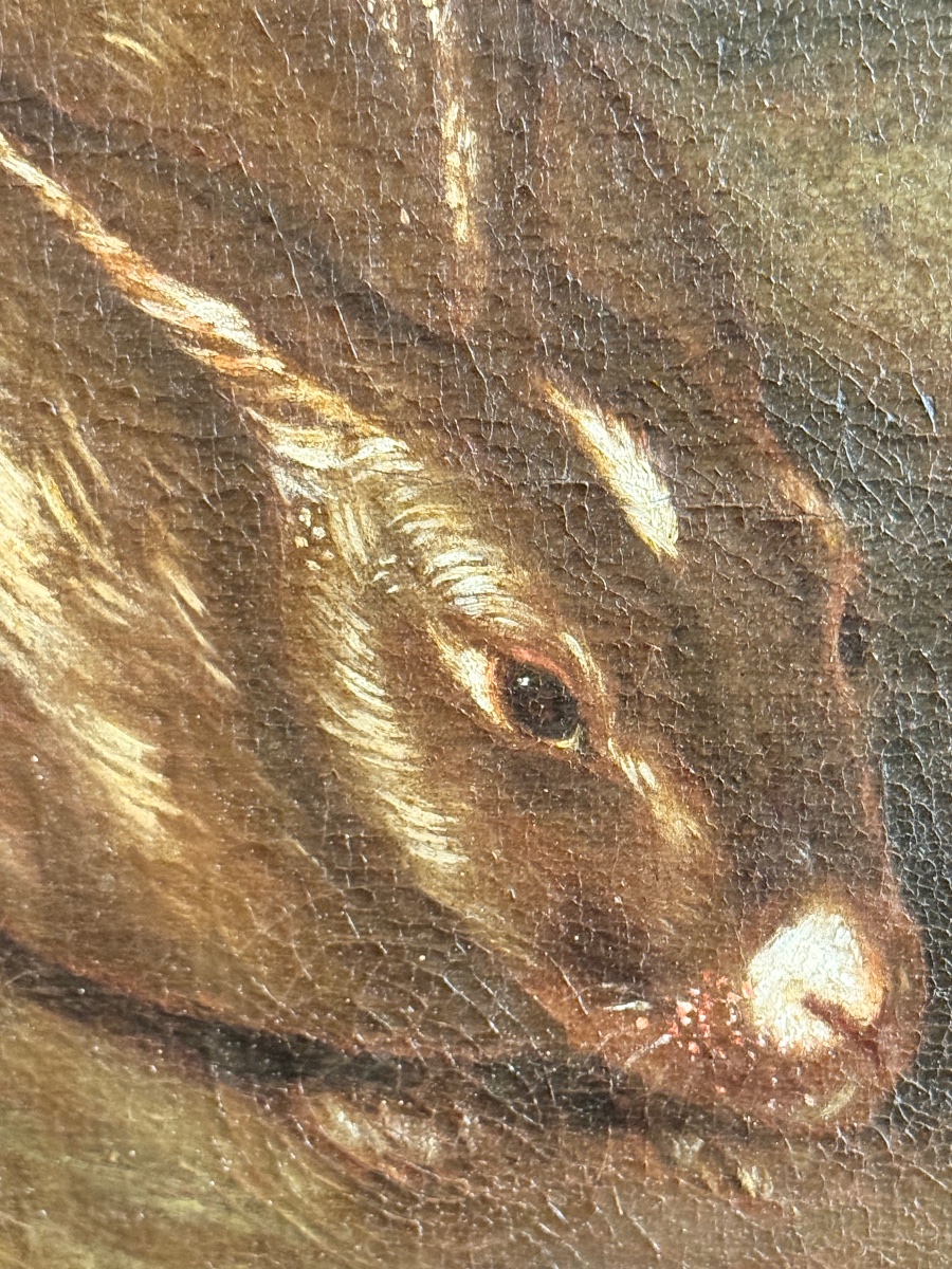 Animal Scene Featuring Poultry And Guinea Pigs Attributed To Franz Werner Von Tamm (1658–1724) -photo-1