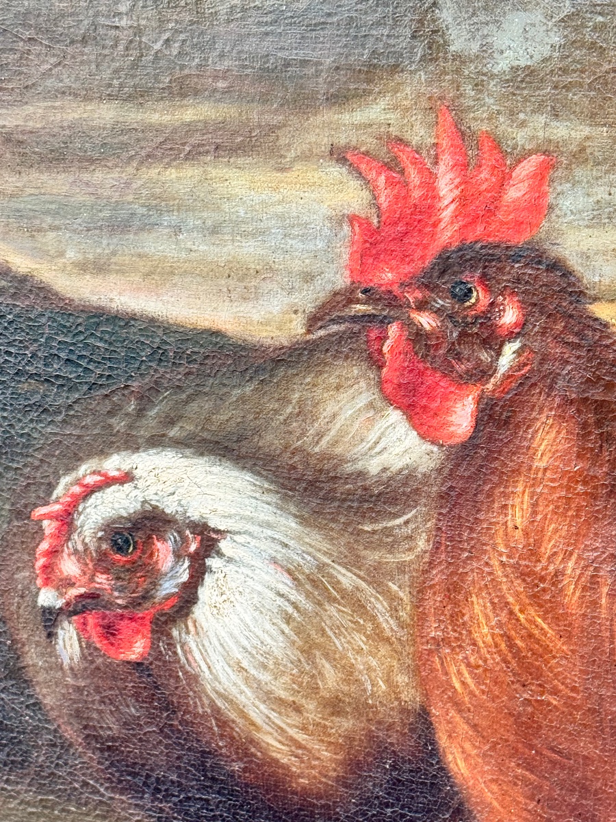 Animal Scene Featuring Poultry And Guinea Pigs Attributed To Franz Werner Von Tamm (1658–1724) -photo-3