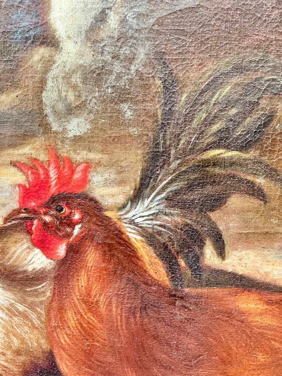 Animal Scene Featuring Poultry And Guinea Pigs Attributed To Franz Werner Von Tamm (1658–1724) -photo-4