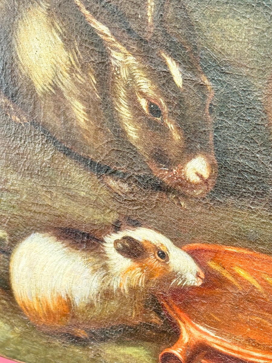 Animal Scene Featuring Poultry And Guinea Pigs Attributed To Franz Werner Von Tamm (1658–1724) -photo-6