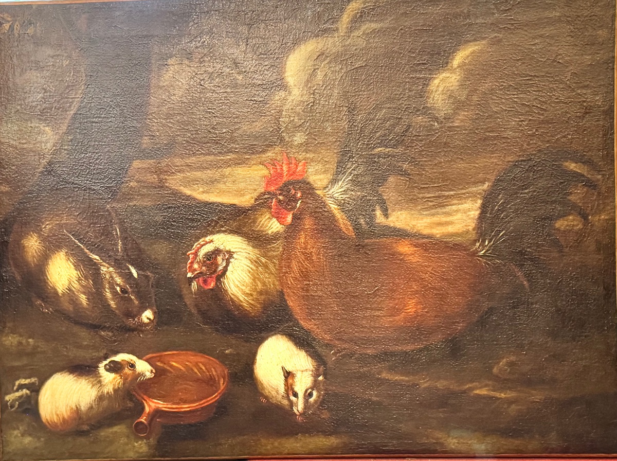 Animal Scene Featuring Poultry And Guinea Pigs Attributed To Franz Werner Von Tamm (1658–1724) 