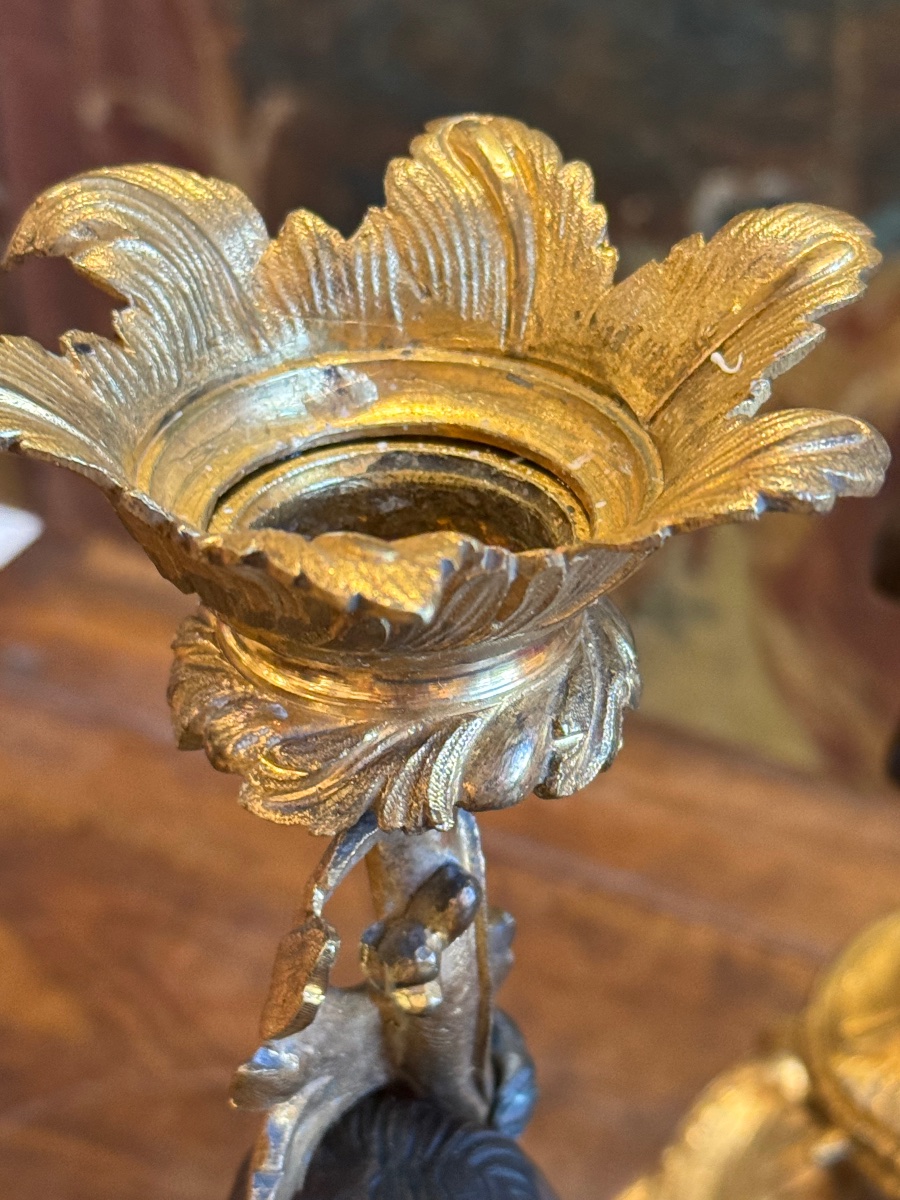 Paire de chandeliers en bronze patiné et doré, style rocaille Louis XV – XIXe siècle-photo-5