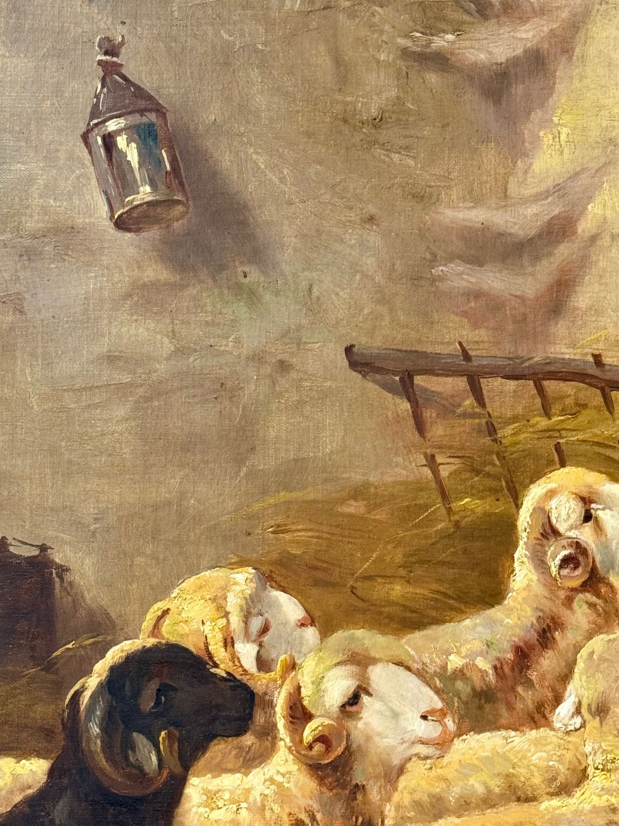 Large Scene Of A Sheepfold With Sheep And Poultry – Oil On Canvas, Late 19th Century-photo-3