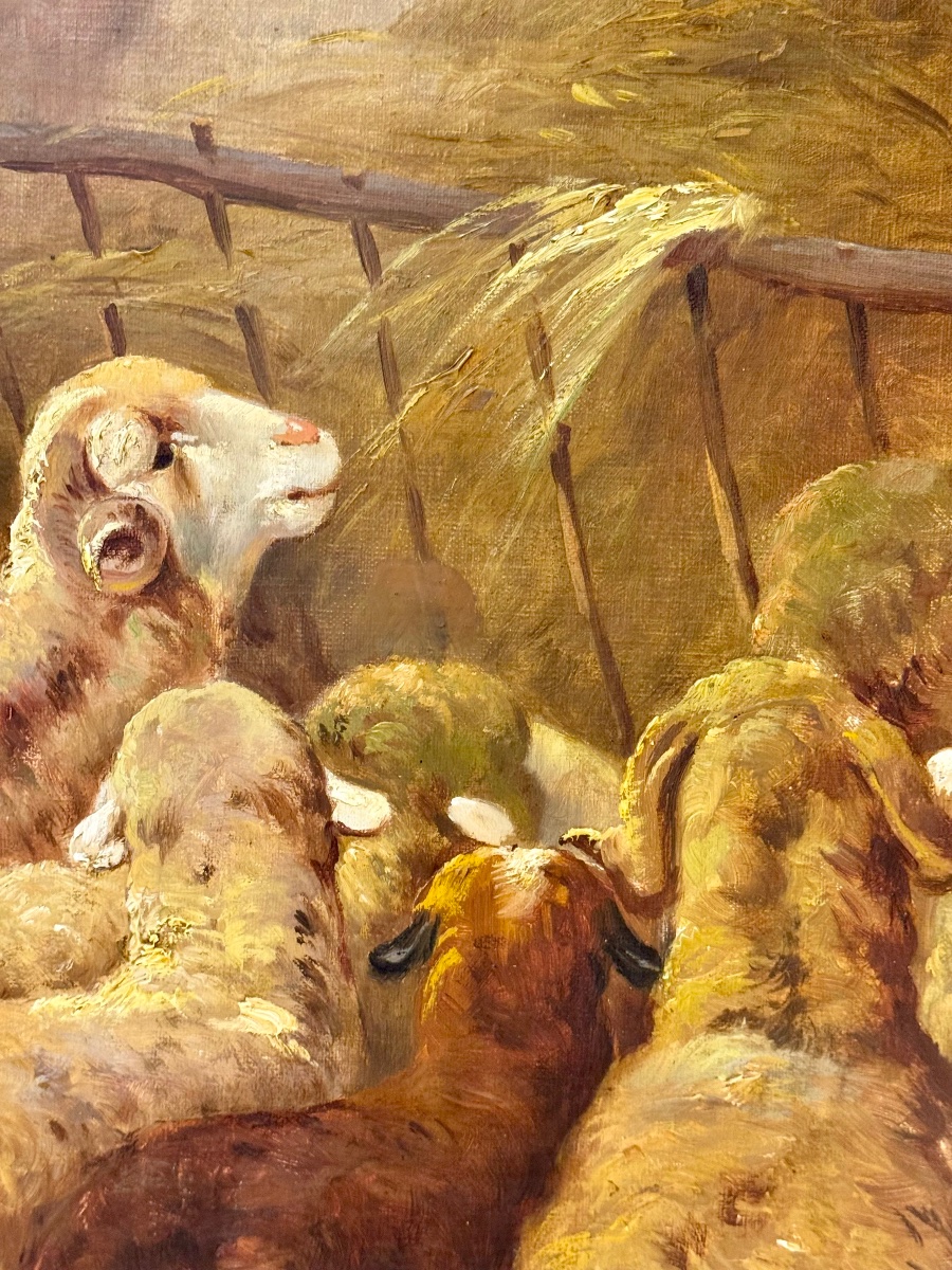 Large Scene Of A Sheepfold With Sheep And Poultry – Oil On Canvas, Late 19th Century-photo-7
