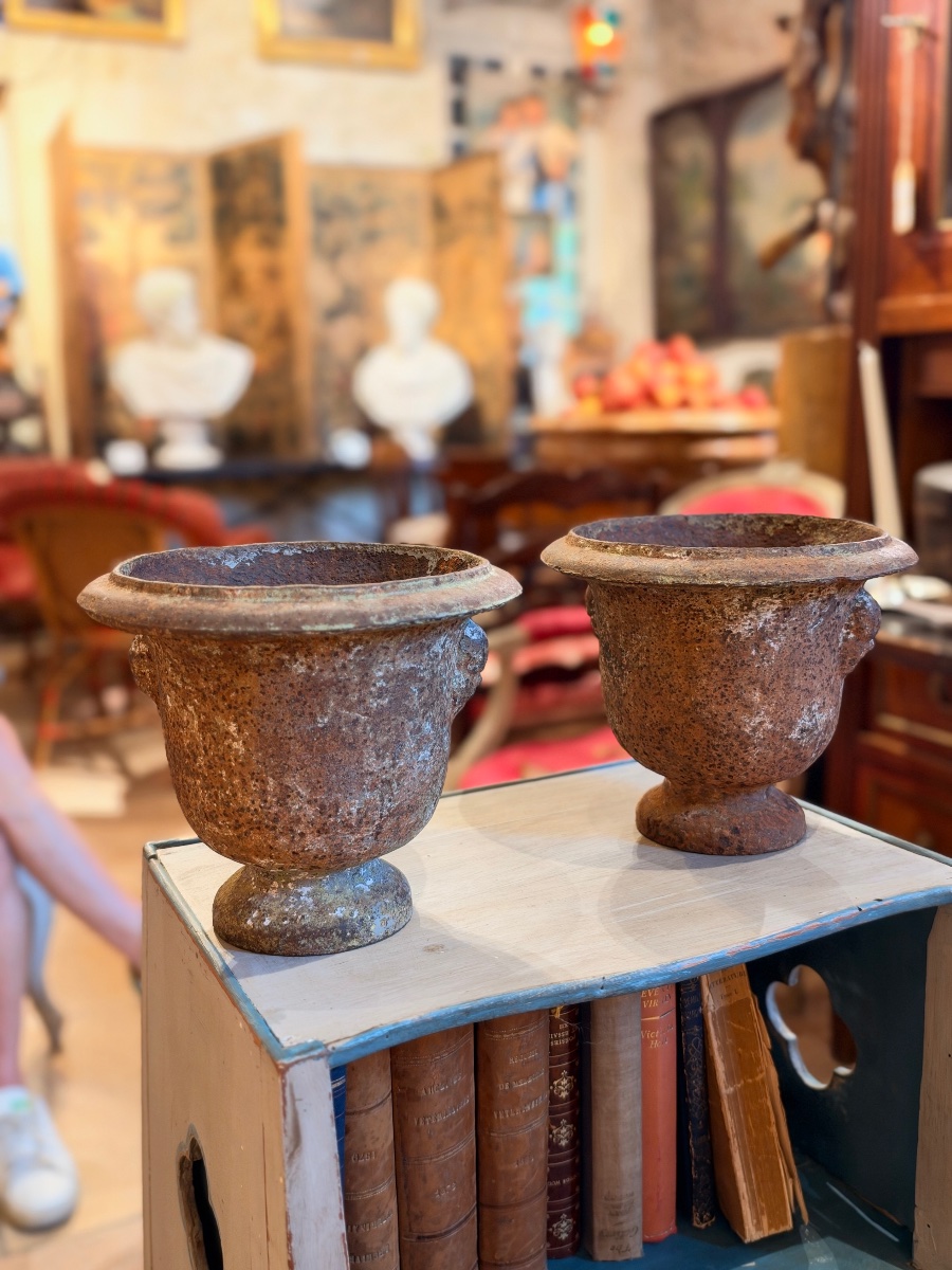 Paire de petits vases Médicis en fonte à têtes stylisées – XIXe siècle-photo-2