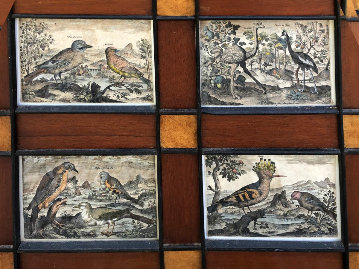 15 Framed Etchings And Cover Page From Adriaan Collaert's Ornithology Treaty-photo-1