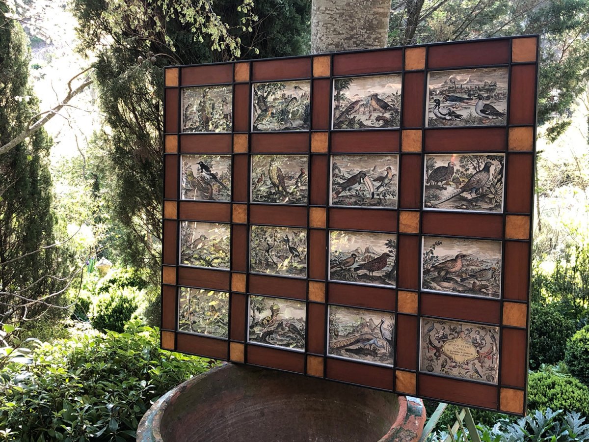 15 Framed Etchings And Cover Page From Adriaan Collaert's Ornithology Treaty-photo-3