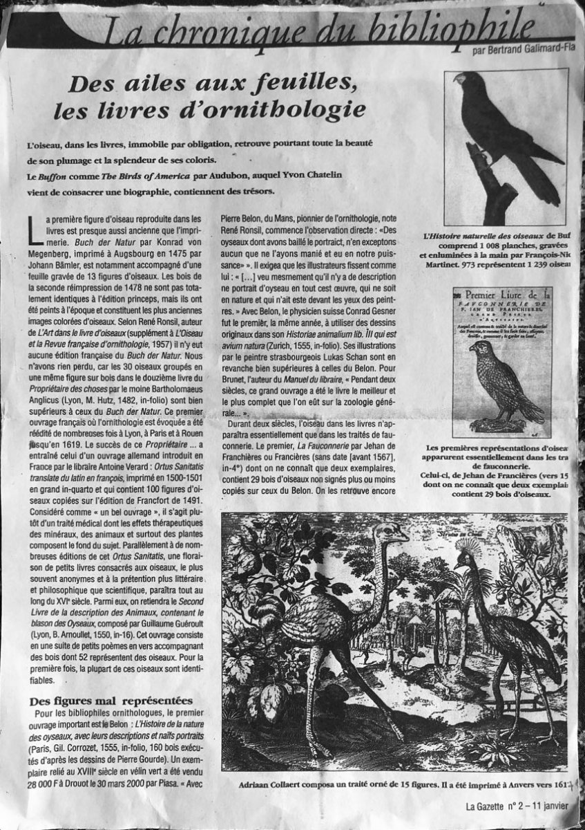 15 Framed Etchings And Cover Page From Adriaan Collaert's Ornithology Treaty-photo-5