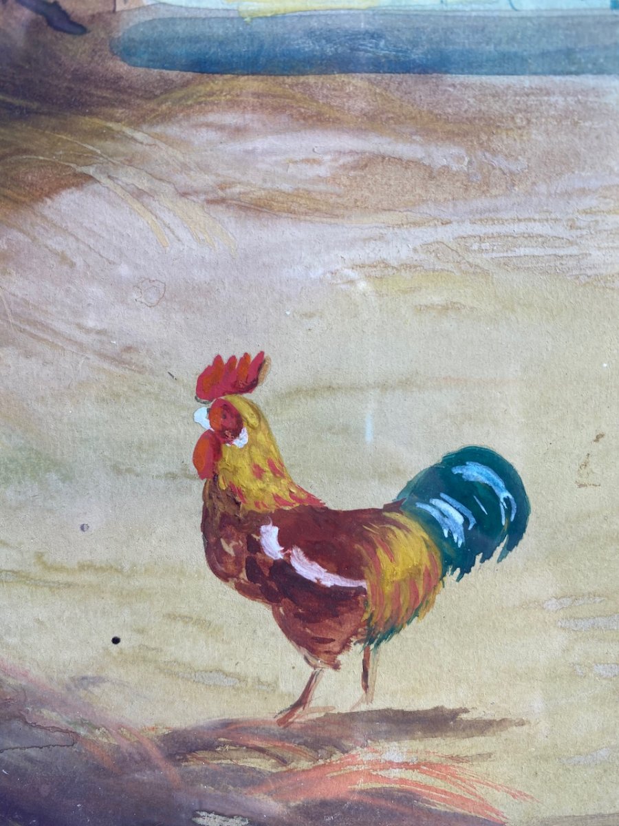 Belle aquarelle sur papier représentant une Cour De Ferme Animée De Volailles, coqs et poules Sur Papier, signée A. Sivan  19ème-photo-3