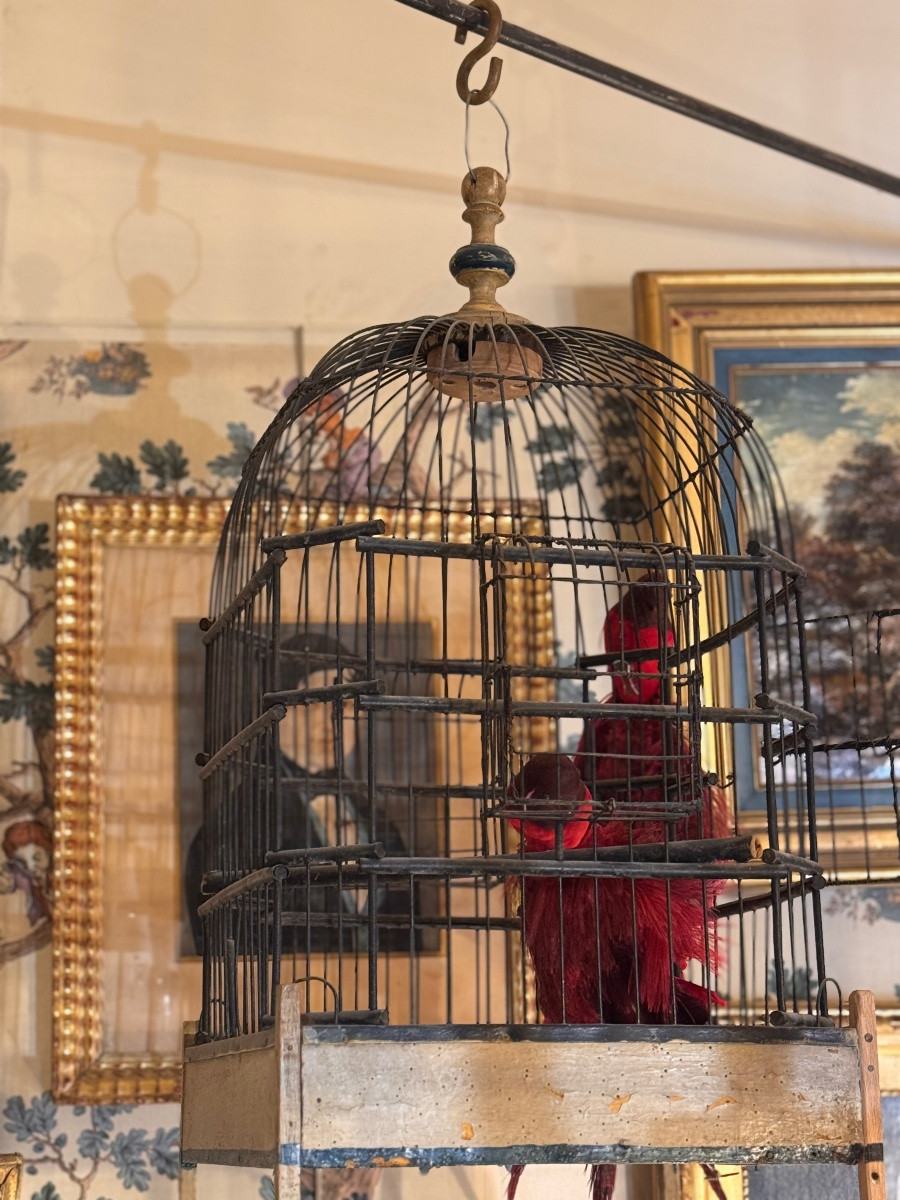 19th Century Parrot Birdcage In Iron And Wood, Folk Art Décor-photo-6